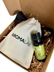 Difuzér do auta HERO & směs Brain Aid