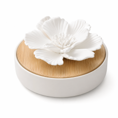 Pasivní difuzér PEONY