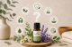 Nejčastější otázky o esenciálních olejích Plant Therapy