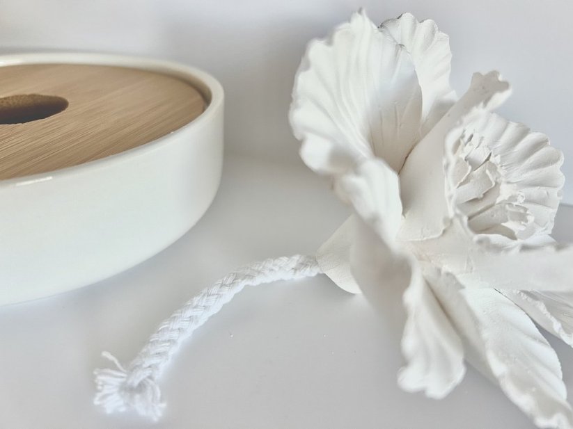 Pasivní difuzér PEONY